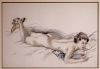 Emil Ganso Drawing of Recumbent Nude Reading