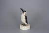 The Hart Family Penguin Charles Hart (1862-1960)