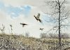 Eldridge Hardie (b. 1940) Flushing Pheasant