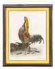 Leon Danchin, Rooster Crowing, Color Etching