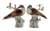 Pair of Meissen Bird Figurines