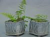 Pair of Victorian lead planters (feet as is). ht. 9in.