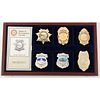Reproduction Officer Badge Collection