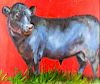 Bull in Red by Linda St. Clair