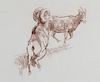Bighorn Sheep by Bob Kuhn