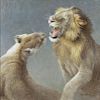Mating Lions by Robert Bateman