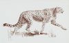 Striding Cheetah by Bob Kuhn
