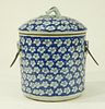 Chinese Blue & White Porcelain Covered Prunis Jar
