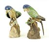 PR Chinese Sancai Glaze Pottery Models of Parrots