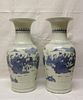 Pair of 19th C. Chinese Blue/White Porcelain Vases