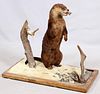 STANDING OTTER TROPHY MOUNT