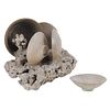 Coral and Porcelain Shipwreck Sculpture and Bowl