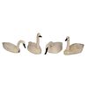 Group of Four Swan Decoys