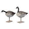 Two Carved Canada Geese Decoys
