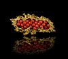 A Coral and 18K Gold Mounted Brooch