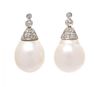 A Pair of 18 Karat White Gold, Cultured South Sea Pearl and Diamond Earrings, 12.50 dwts.