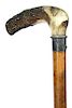 33. Political Cane- Late 19th Century- A stag handle that belonged to “CP. Layfayette McWilliams” a supporter of Presiden