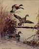 CLARK, Roland. Watercolor on Paper. Ducks in a