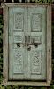 Pair of Indian Carved and painted wood doors