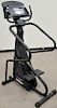Free Climber Stairmaster 4600 PT. ht. 69in.