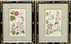 Two Offset Lithographs of Flowers 22 1/4 x 16 3/4 inches overall.