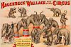 Hagenbeck-Wallace Wild Animal Circus. Carl Hagenbeck World Famous Performing Elephants.