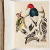 Wilson, Alexander (1766-1813) American Ornithology; or, the Natural History of the Birds of the United States: Illustrated wi