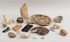 LARGE GROUP OF MINERAL SPECIMENS AND FOSSILS