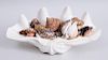 COLLECTION OF SEA SHELLS CONTAINED IN LARGE SCALLOP SHELL BOWL