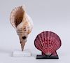 RED TWO-PIECE SCALLOP SHELL AND CONCH SHELL