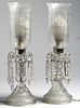 Etched Glass Lamps, Pair w. Neoclassical Shades