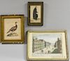 Three Framed Engravings, including a George Edwards of a turkey, a French Vue de Boston, and A Celebrated Public Orator.