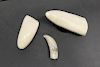 Scrimshaw Whale Tooth Together with 2 Whale Teeth.