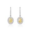 A Pair of Yellow and White Diamond Drop Earrings, with a GIA Report