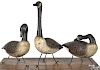 Three carved and painted Canada goose field decoys