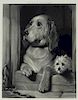 Sir Edwin Landseer Dignity Impudence Dog Etching