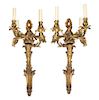 A Pair of Louis XV Style Gilt Metal Four-Light Sconces Height 27 1/2 inches.