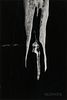 Minor White (American, 1908-1976)  Two Icicles