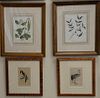 Group of eight framed and matted lithographs to include four colored lithographs of leaves and flowers Endicott New York and