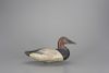 Canvasback Drake James T. Holly (1855-1935)