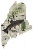 Brook Trout on Map of Maine Lawrence C. Irvine (1918-1998)
