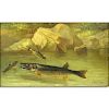 Arnoud Wydeveld, New York/Netherlands (1823 - 1888) Oil on panel "Salmon In River"