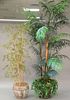 Two piece lot to include rose medallion planter with faux bamboo tree (ht. 96in., dia. 19in.) along with faux tree in green p