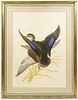 Menaboni Gouache Depicting Black Ducks in Flight