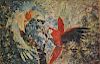 Exotic Ornithological Tropical Parrots WC Painting