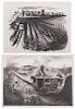 Regionalist Lithographs of Corn and Wheat Fields