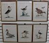 (6) Framed Antique Bird Prints