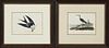 John James Audubon (1785-1851), "Greenshank," and "Swallow-tailed Hawk," 1840, pair of first edition octavo prints, presented