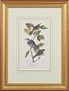 John James Audubon (1785-1851), "Canada Jay," No. 47, Plate 234, 19th c., first edition octavo print, presented in a gilt fra