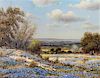 William Thrasher, (American, b. 1908-1997), Blue Bonnet Landscape